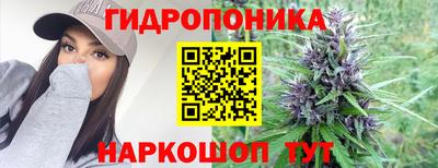 индика Комсомольск-на-Амуре